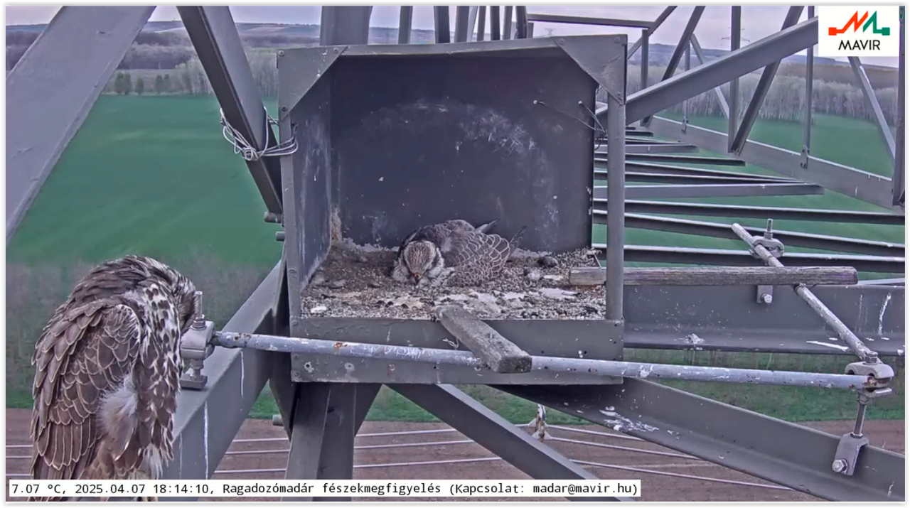 Screen Shot 04-07-25 at 06.14 PM 001