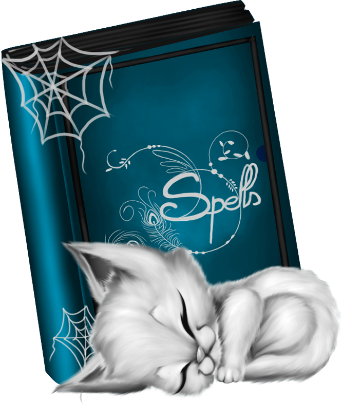 MagicSnowkitpudnspellsbook