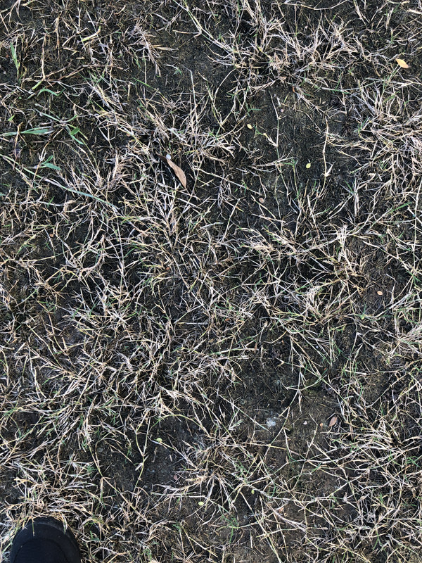 F9F33343-3B72-4E6C-967F-AD219037BEC5