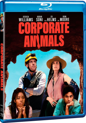 Animali Da Ufficio (2019) .mkv iTA-ENG Bluray 1080p x264