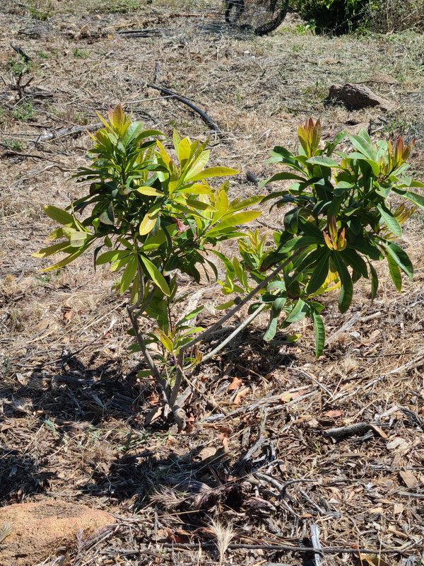 download_20220426_201722