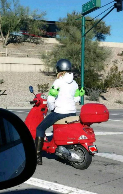 WTF-14