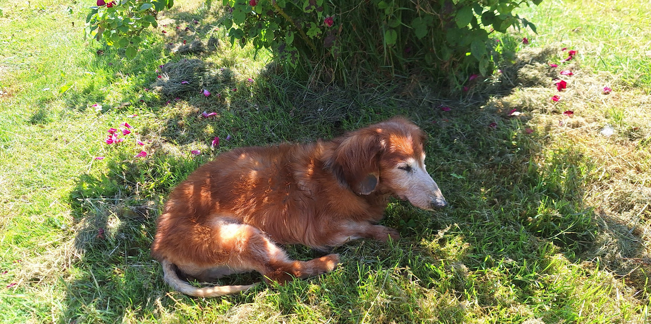 [Image: 20250530-111608.jpg]