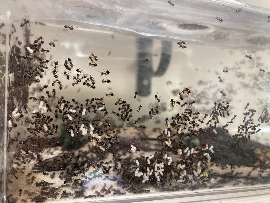 04A5A46F-4DBF-4F6D-963C-693A21FF090A