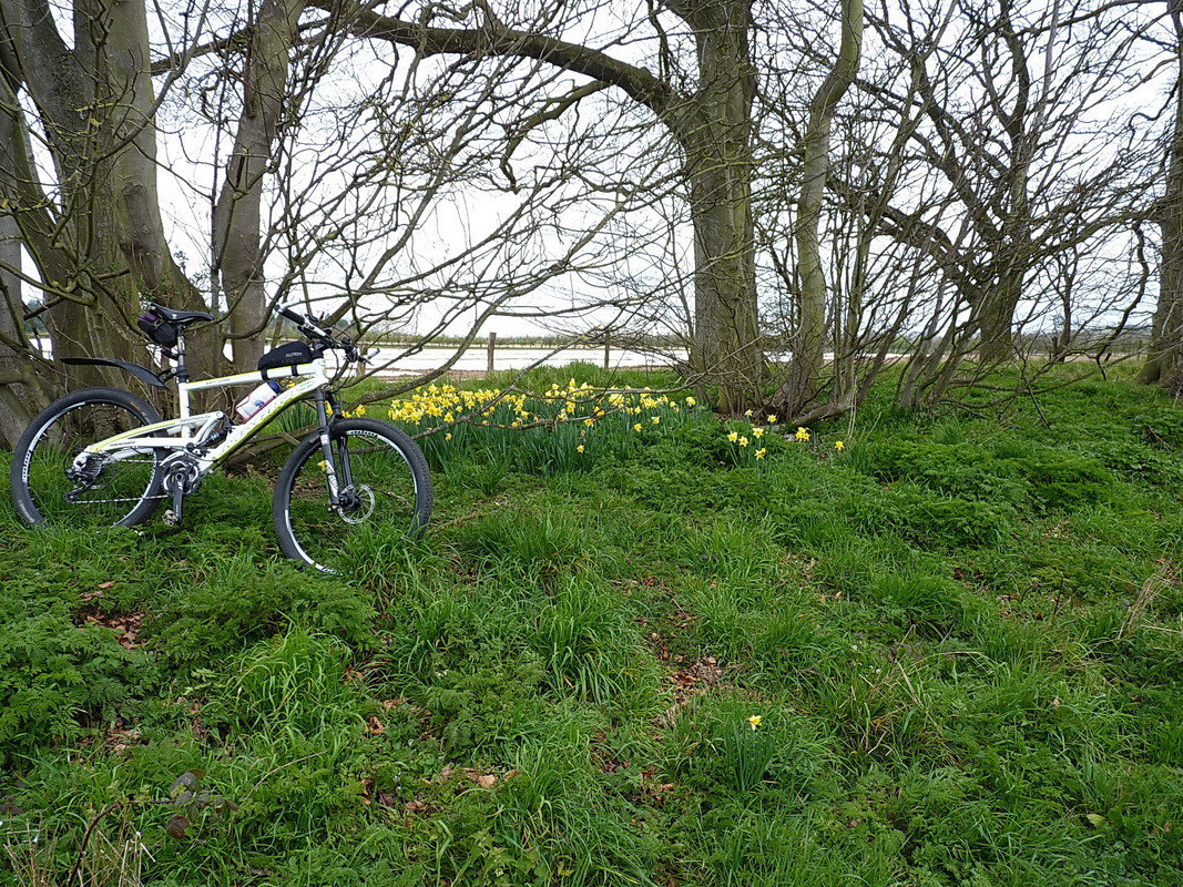 Near Ryton, E Shrops