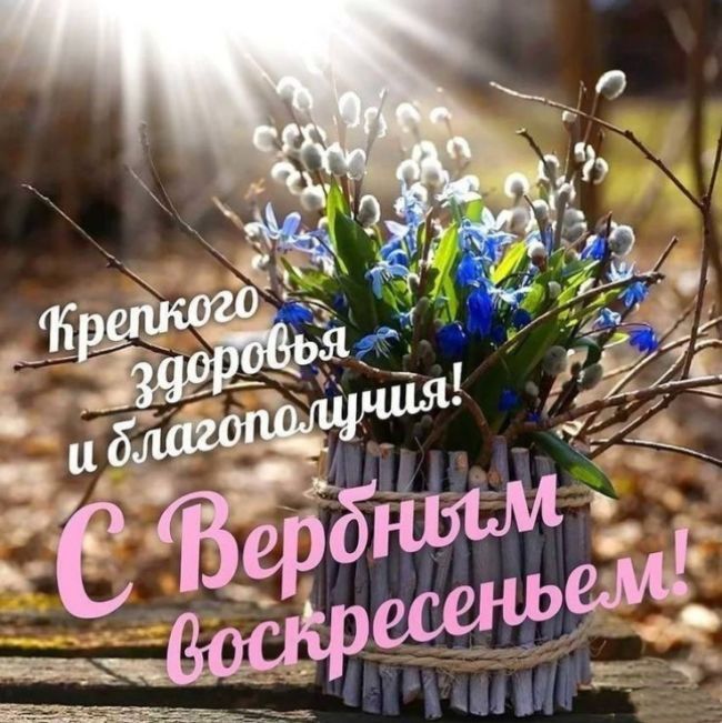 https://i.postimg.cc/nh2mYbRn/1db0b0d5a43504708d04277195b2d1c4.jpg