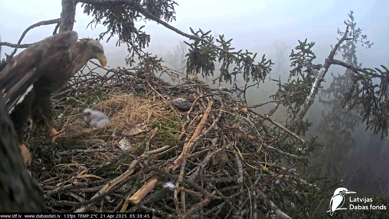 vlcsnap-2025-04-21-07h15m13s995