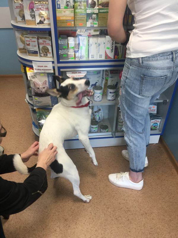 B5AFE30E-24CD-428F-9E4D-6D4482B342D3