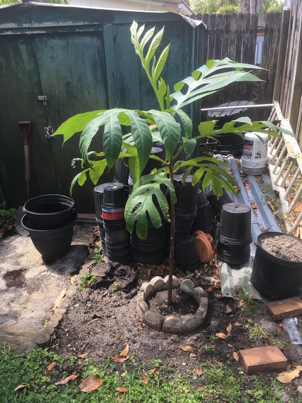 784F1EED-9FEC-476C-B37A-8F94B9074AB4