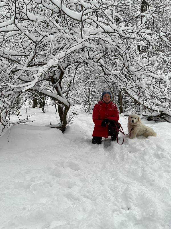 49BADD47-CAE2-4CE9-B8DA-A4904CD0C923