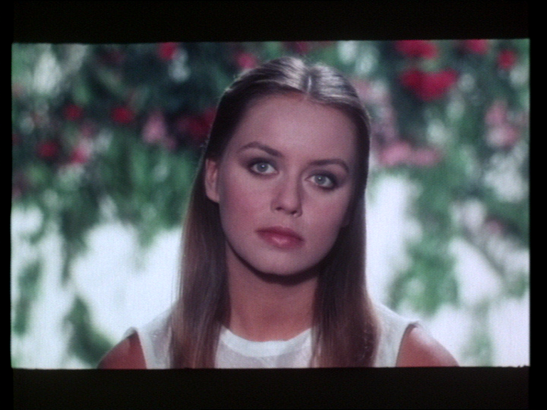 vlcsnap-2015-11-11-18h58m09s245