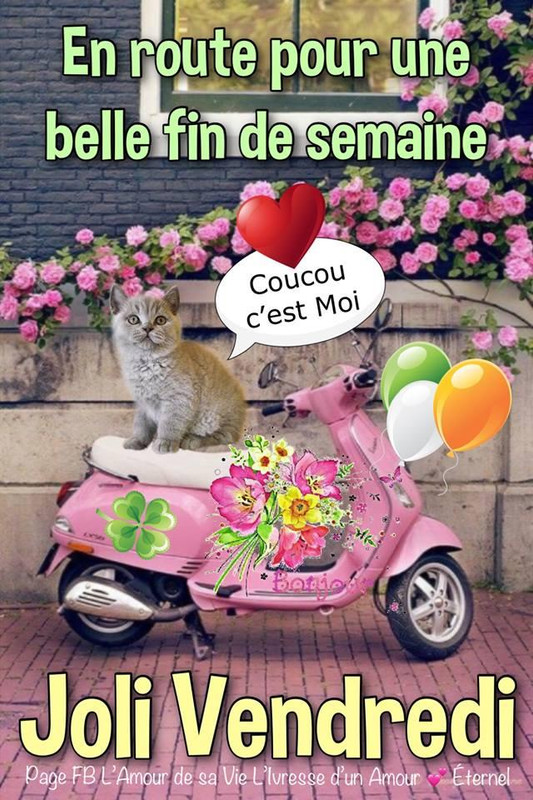 https://i.postimg.cc/nh3zWpmn/vendredi-176momo.jpg