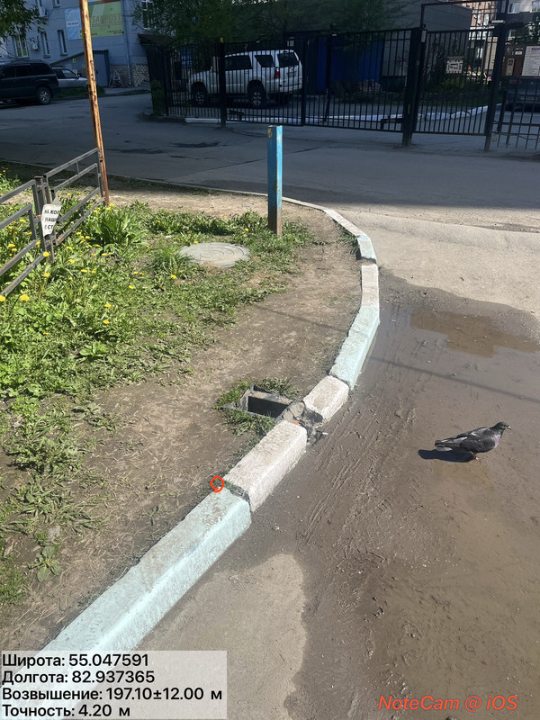 IMG 1864