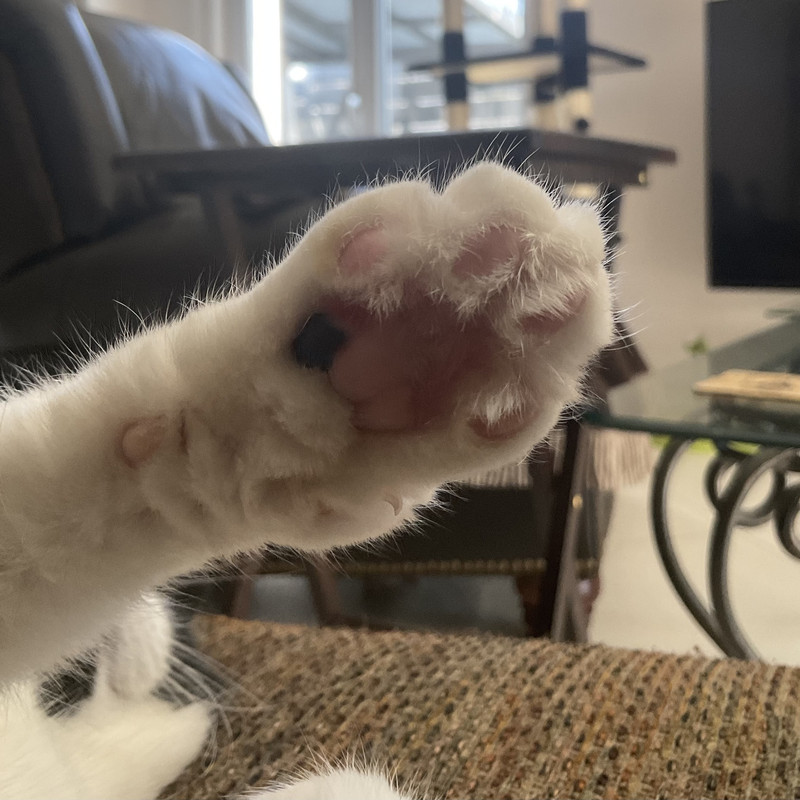 439FAE47-135E-4B6B-9EBC-18CB8B06C4B2