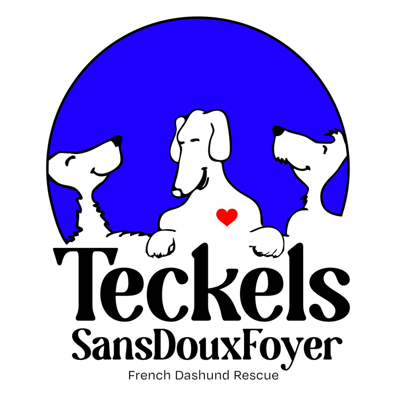 [Image: Logo-Principal.jpg]