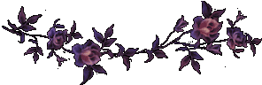 purple 18