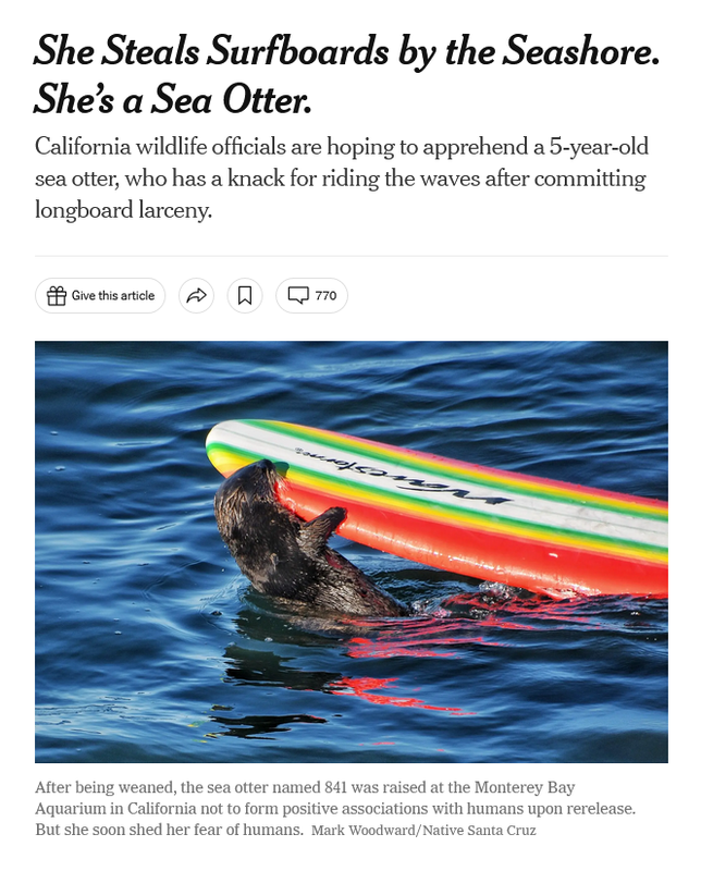 [Image: Screenshot-2023-07-12-at-20-35-55-She-St...-Otter.png]