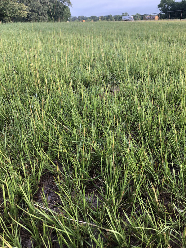 CFD37EF3-D26A-43FC-BB6B-E4E2C919734C