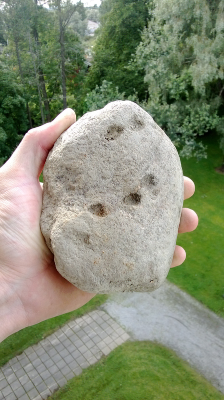 kivi2