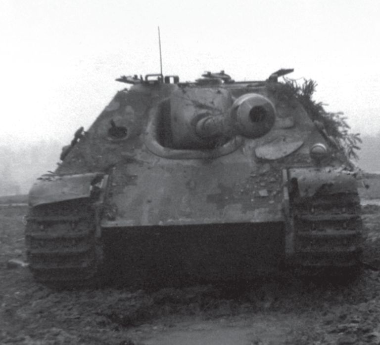 shwere panzer-jager abteilung 654 (2)