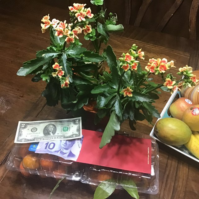 [Image: A5-F109-D5-57-AB-4-B3-E-AA66-4-B12-DD07-A81-B.jpg]