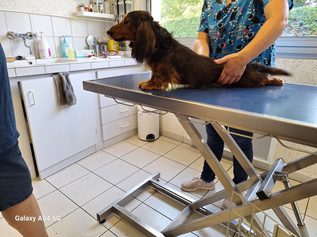 [Image: 20240724-174651.jpg]