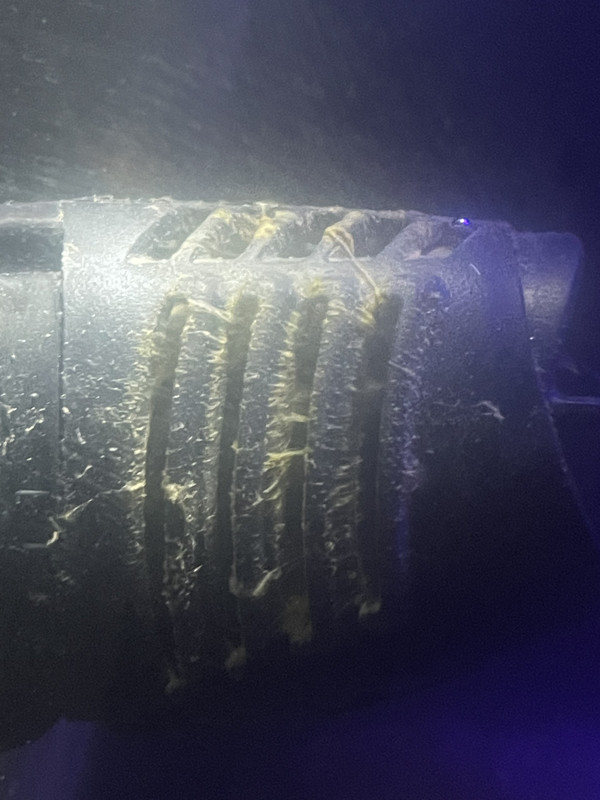 F2B6472B-2153-4EA8-9944-F6FDFBB055A8