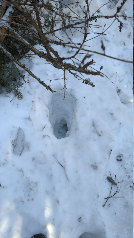 IMG 20260313 094259 691