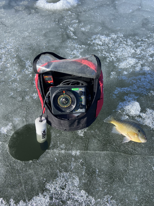 E68CBD7D-4B3F-4611-9232-6D93F8A98083