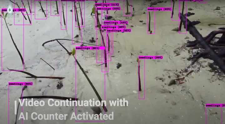 AI Tree Counting Software