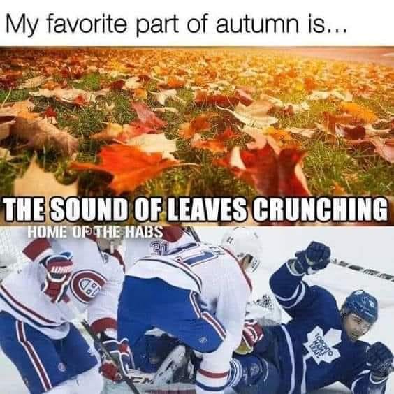 leafs.jpg