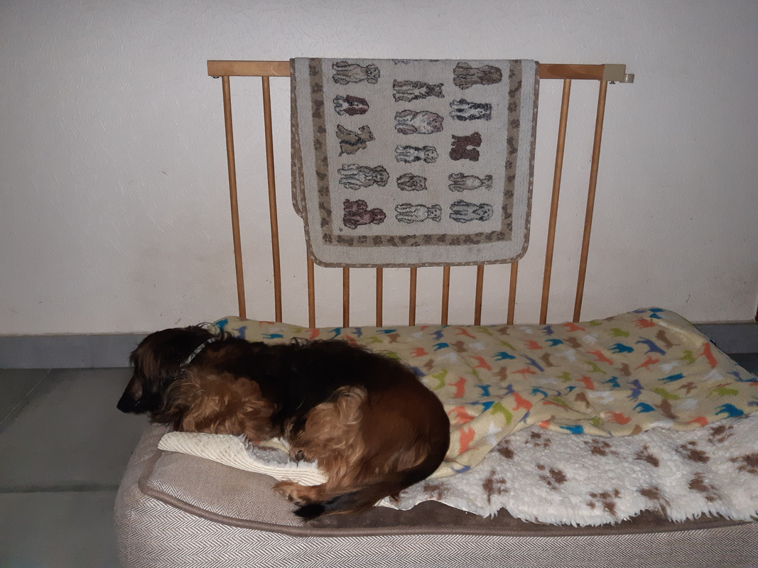 [Image: 20230822-074813.jpg]