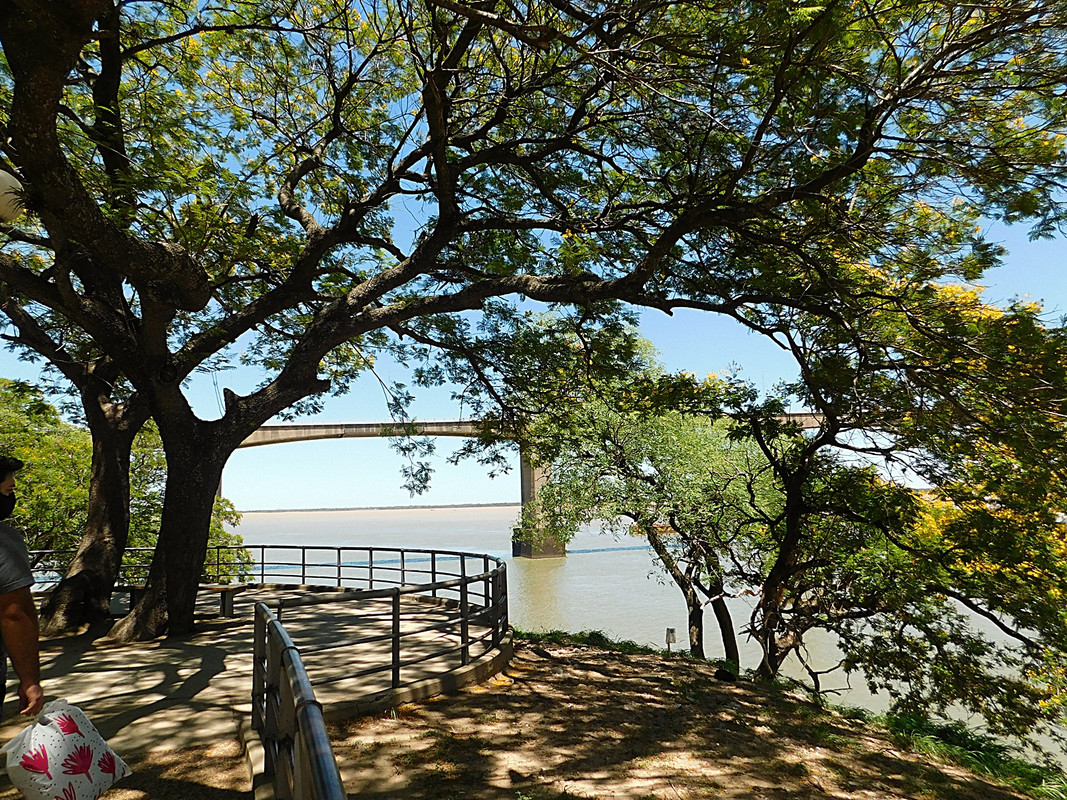 DSCN7155.jpg