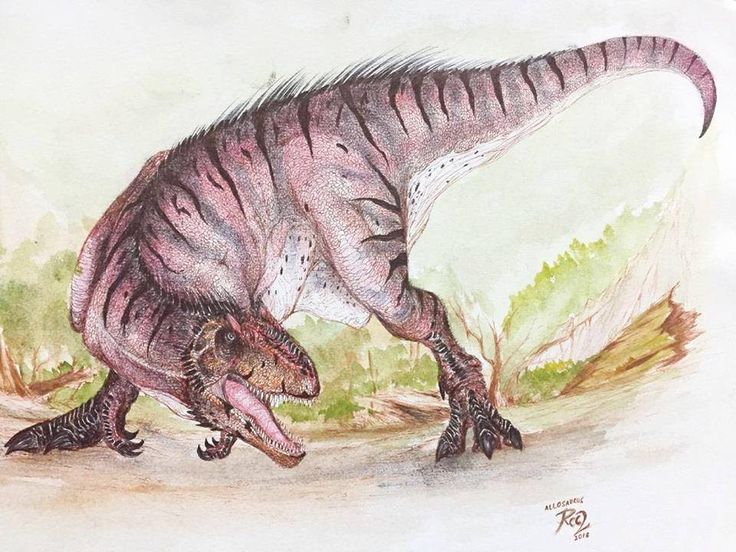 1211771fd694d7f49507da1659f738b9 (1)