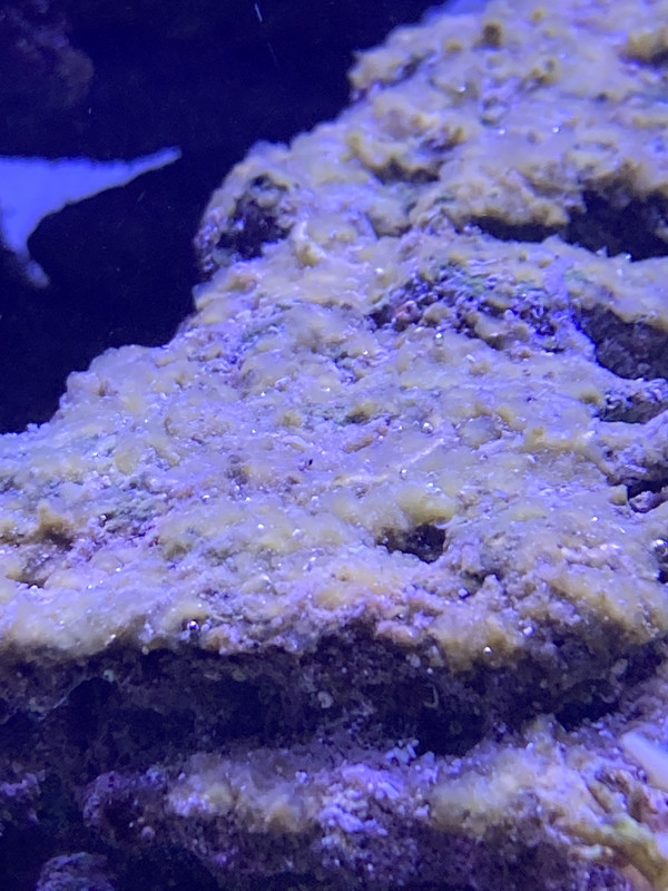 0874D96D-F273-4480-B174-E19D7F83706F