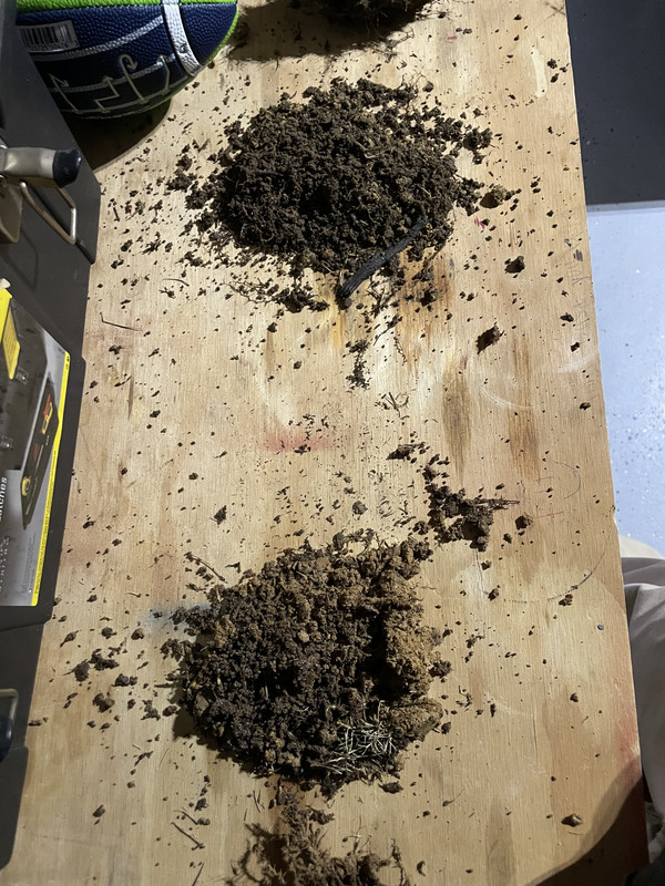 1F3BA8A7-AE83-4D2B-9647-3B501D31089C