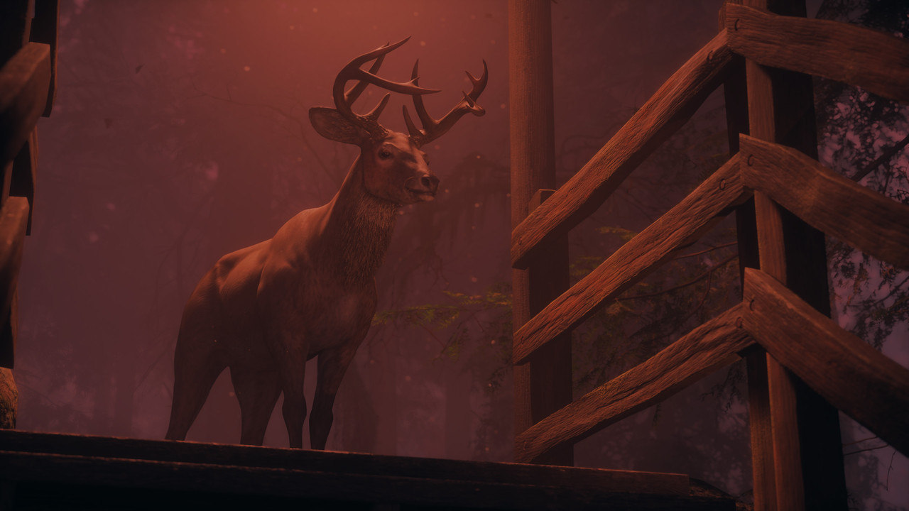 Alan Wake2 2026 06 09 21 20 46 093