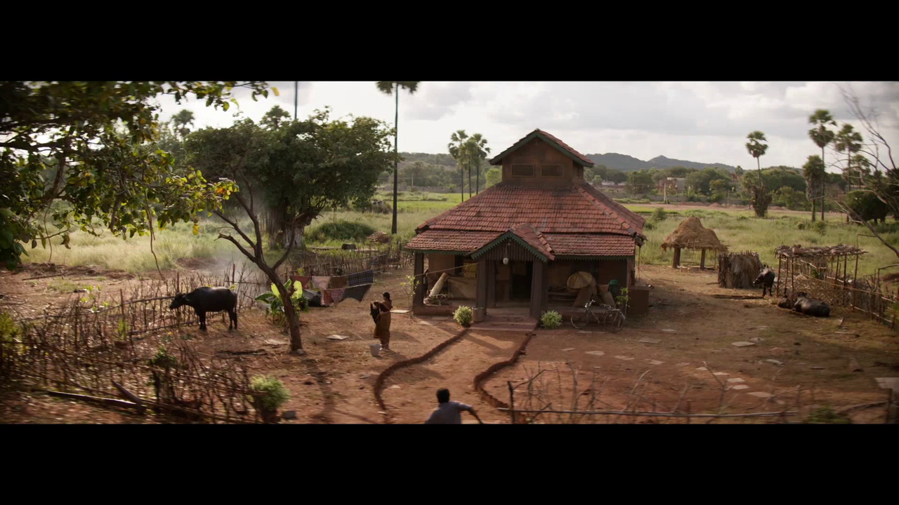 vlcsnap 2025 11 09 15h39m10s737