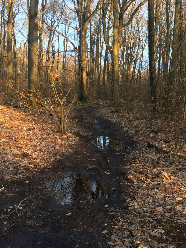 9C1E6E72-0966-4E67-907C-3C26E8B30DE5