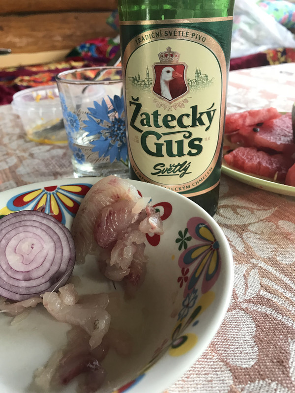 67E4D866-2B5A-4205-80A7-7E1EA32B4F15