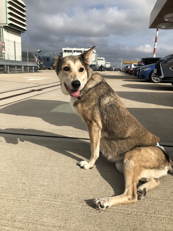 F73B3D85-6290-4B43-A401-2E46EF5E2B20