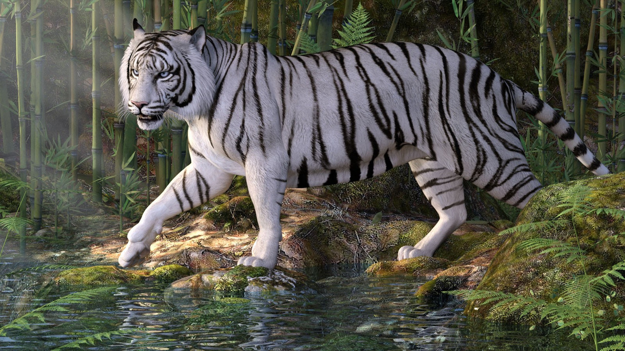 White Tiger 3D model