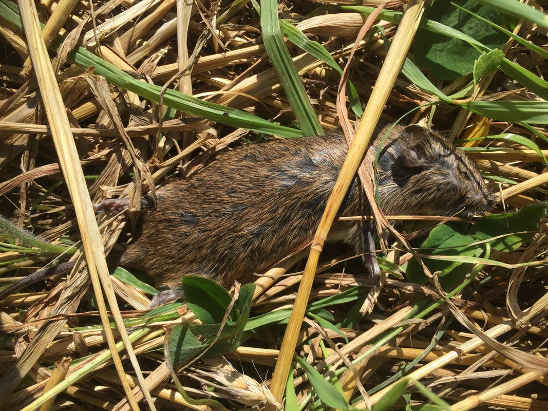 41F2EA23-BFD8-4A80-9AC1-F6D9B64C3B1D