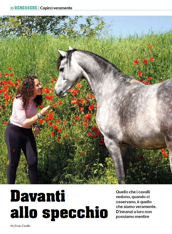 Il Mio Cav (Mar-Apr 2024) 7