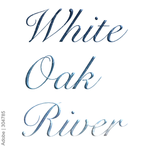 White-Oak-Avi2.png