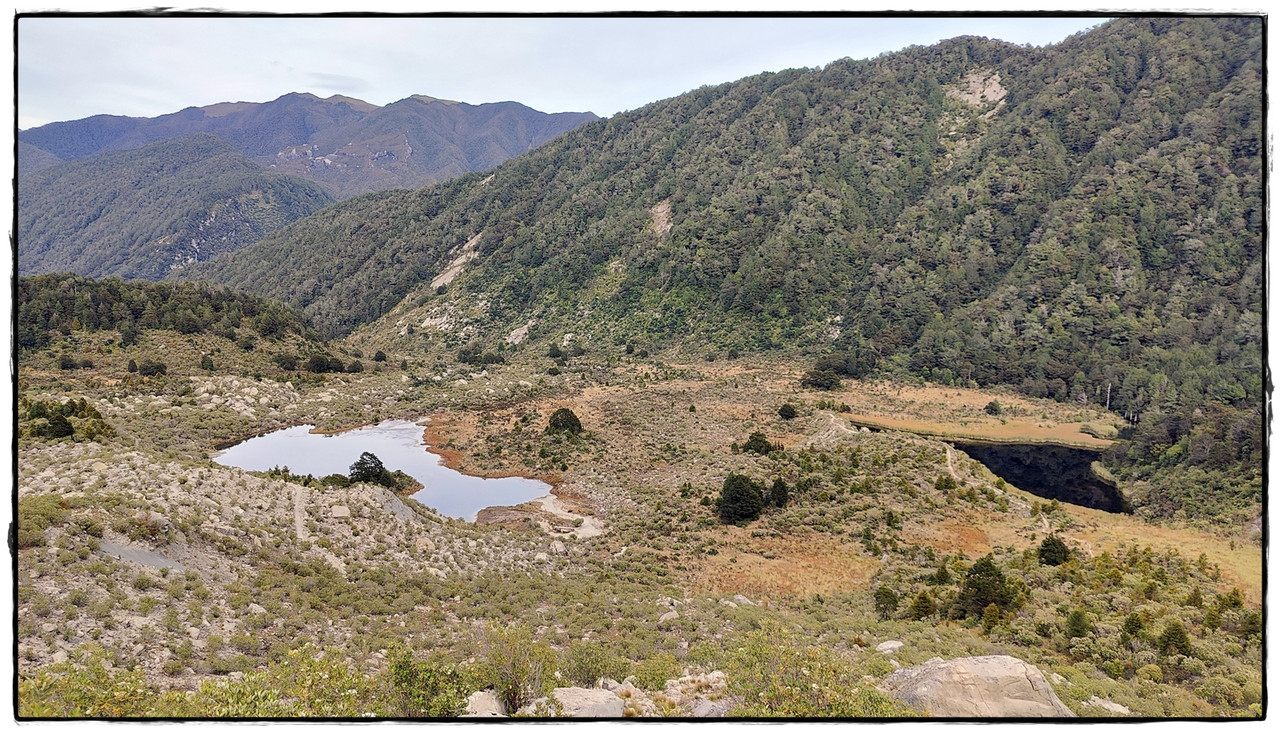 The Old Ghost Road (marzo 2024) - Escapadas y rutas por la Nueva Zelanda menos conocida (61)