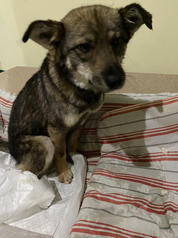 7CB805E1-B050-4CCD-AFD2-A3F301CE5D22