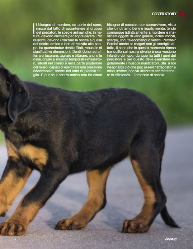 Argos Dic 2022-Gen 2023 (4)