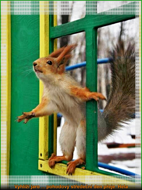 středa26.2.2025úpr