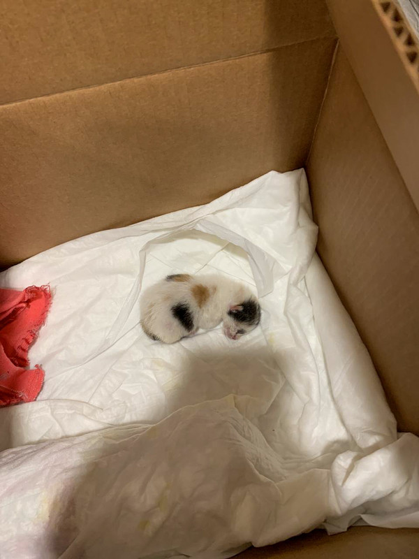 A0CFBEE8-2BB8-4313-9763-60B58C40DE0E